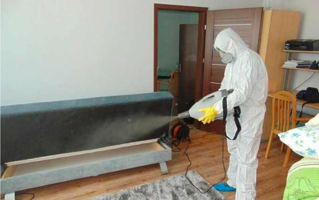 ФОТО Уничтожение блох в Романовке