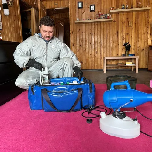 ФОТО Дератизация в Романовке