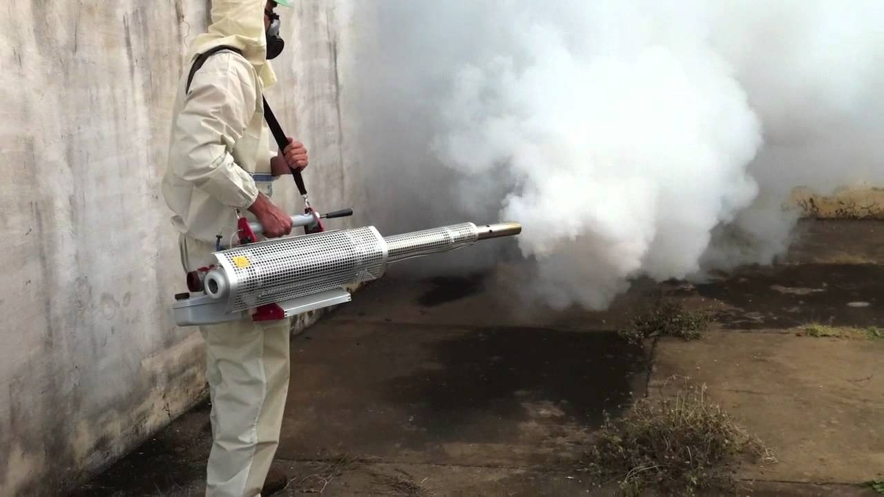 ФОТО Уничтожение мух в Романовке