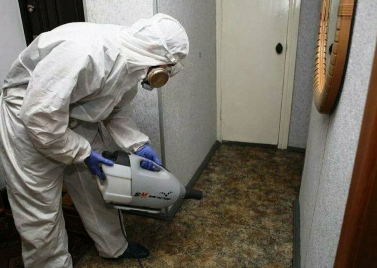 ФОТО Какие методы обработки для дезинсекции существуют в Романовке? | подробно