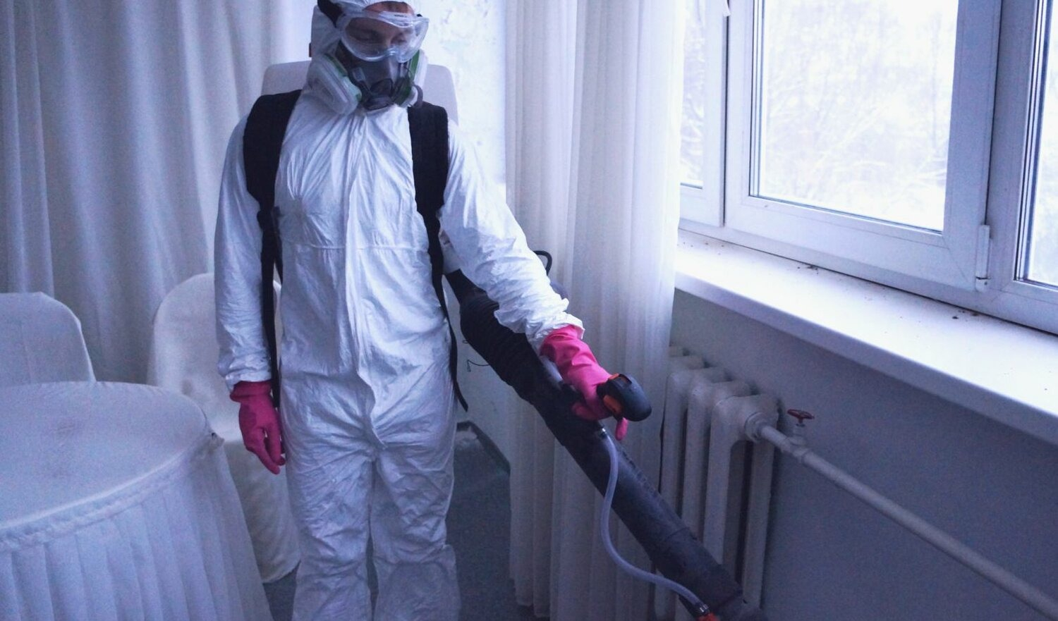 ФОТО Нужно ли выносить растения при дезинсекции в Романовке? | подробно