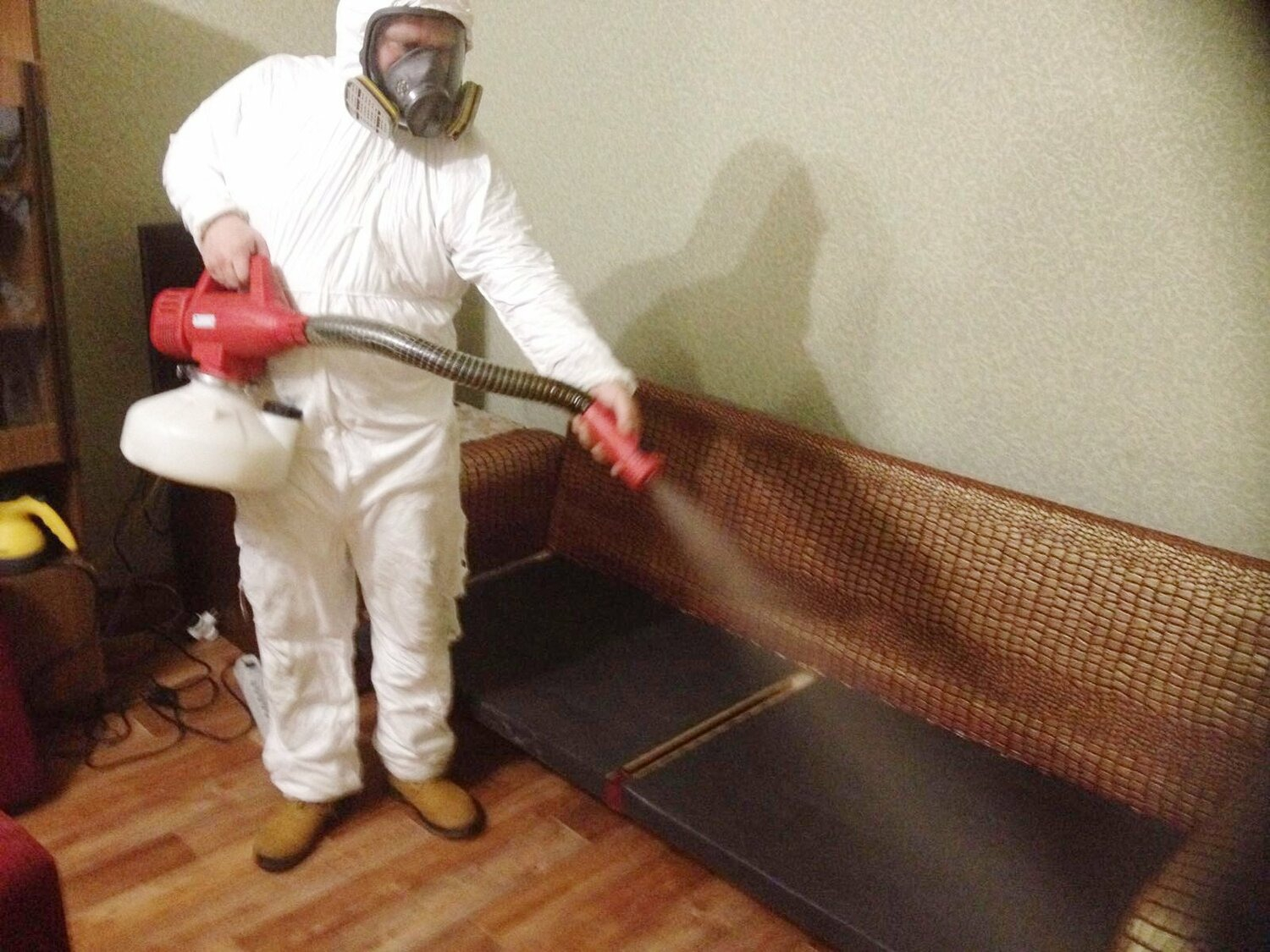 ФОТО Когда можно вернуться в помещение после дезинсекции в Романовке? | подробно