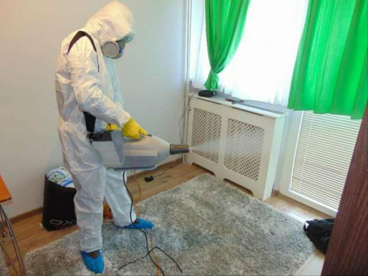 фото: Уничтожение насекомых навсегда с 1-го раза с гарантией за 30-60 мин. в Романовке